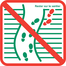 Ne pas sortir des sentiers balis&eacute;s