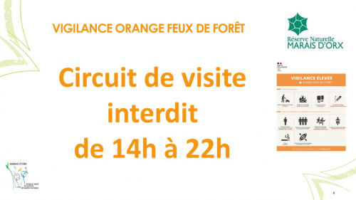 2026 Affiches VIGILANCE ORANGE.jpg