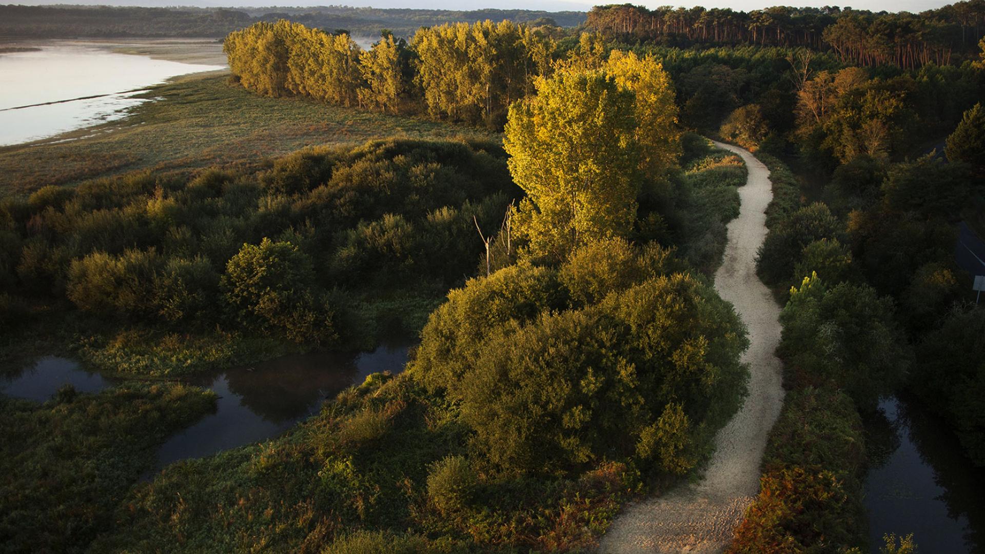 Marais Barrage - Cedric Pasquini site internet.jpg