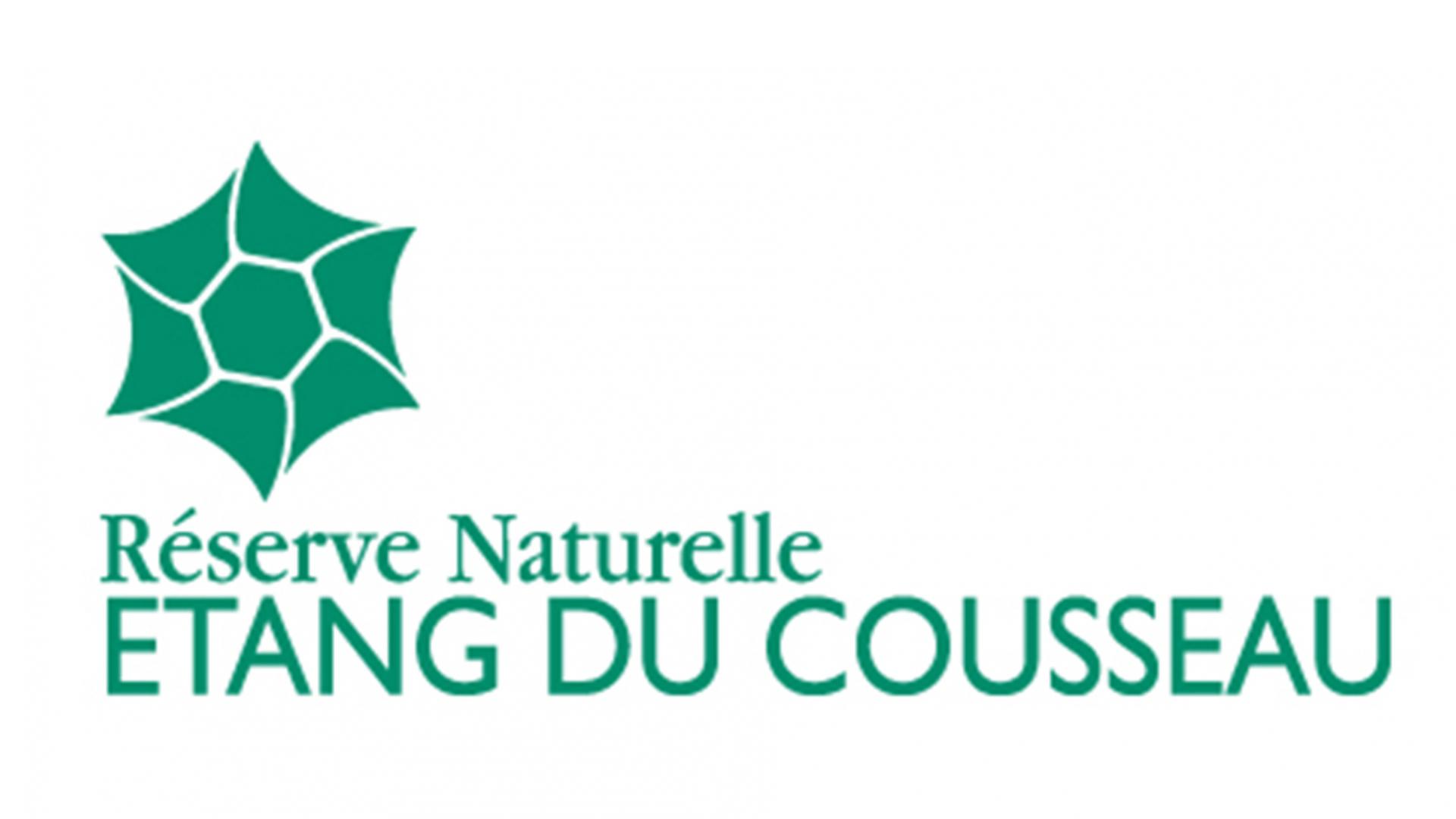 RNN Cousseau.jpg